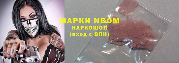индика Баксан