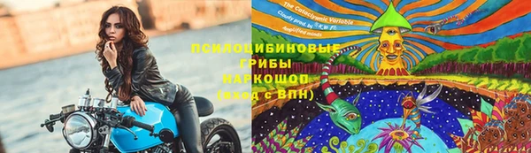 индика Баксан