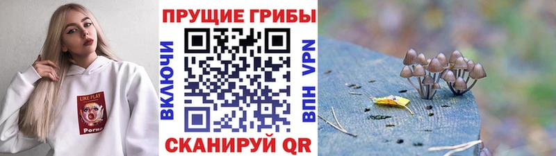 Галлюциногенные грибы мухоморы Бодайбо